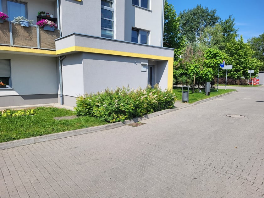 Leśnica, osiedle TBS Wrocław, nowe nasadzenia roślin