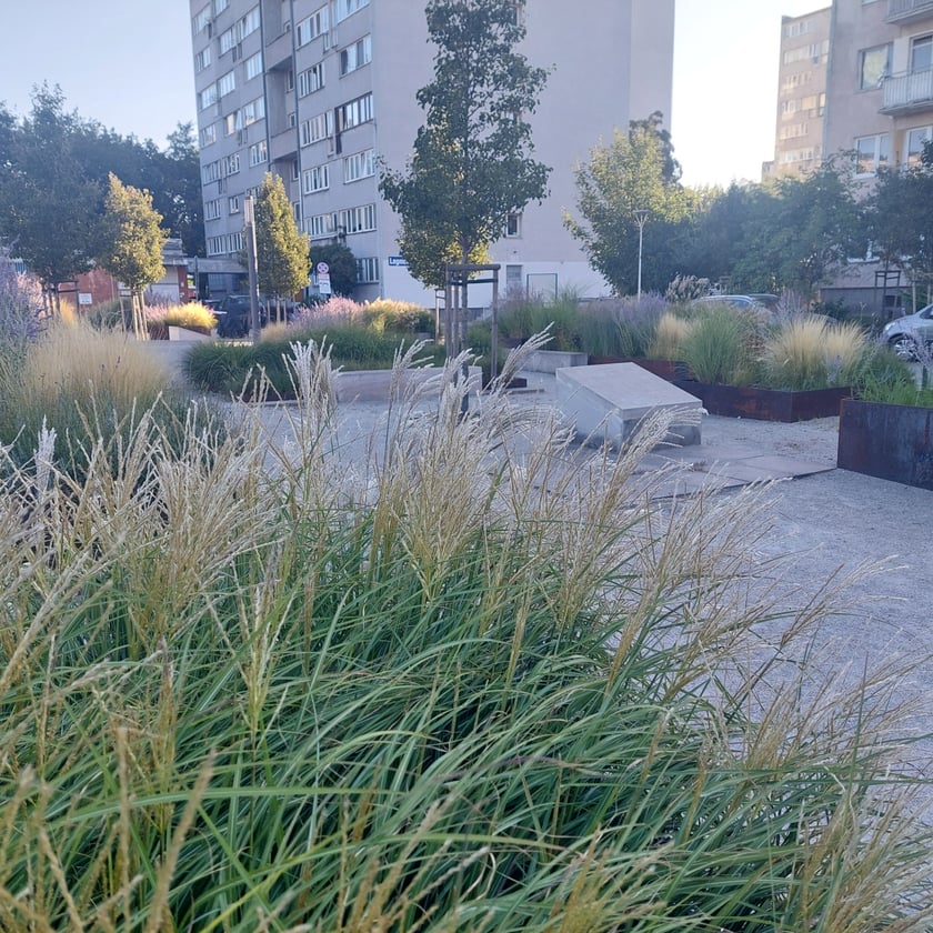 Odnowiona częśc podw&oacute;rza w kwartale ulic Braniborska&mdash;Dobra&mdash;Legnicka&mdash;Trzemeska