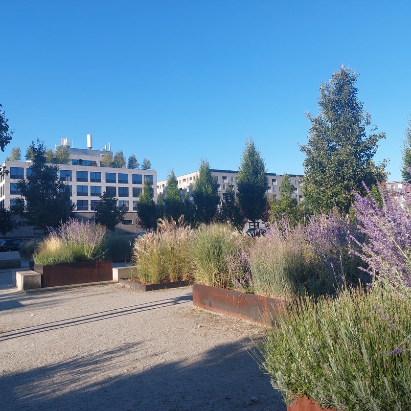 Przybędzie też ładnej, zadbanej zieleni