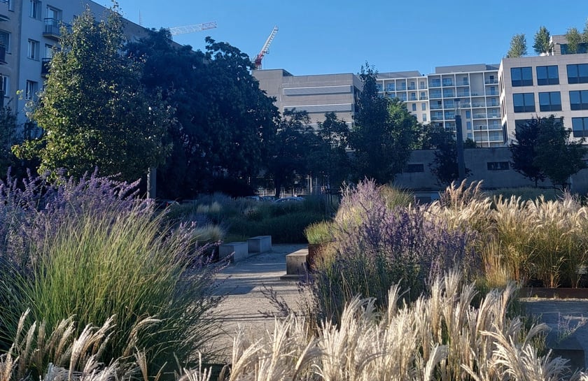 Odnowiona część&nbsp;podw&oacute;rza w kwartale ulic raniborska&mdash;Dobra&mdash;Legnicka&mdash;Trzemeska