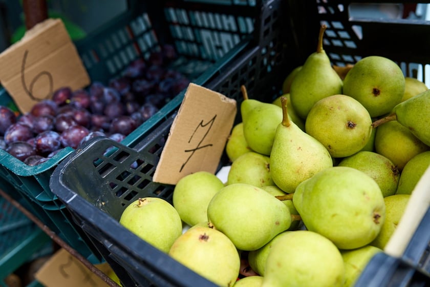 Targ na Ptasiej na wrocławskim osiedlu Nadodrze