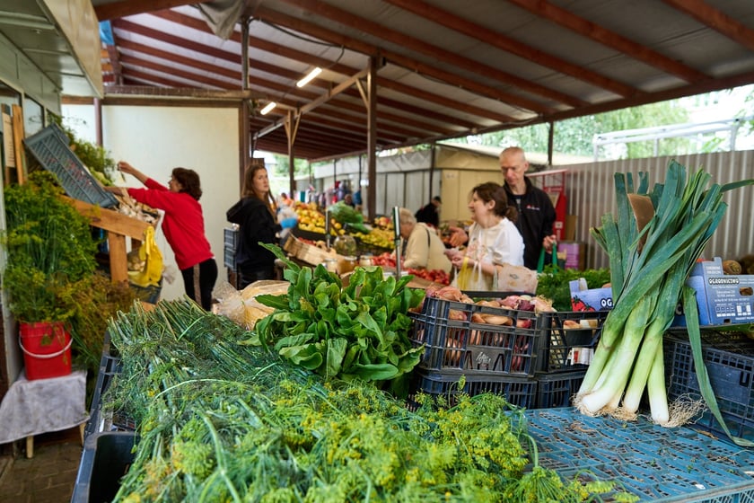 Targ na Ptasiej na wrocławskim osiedlu Nadodrze