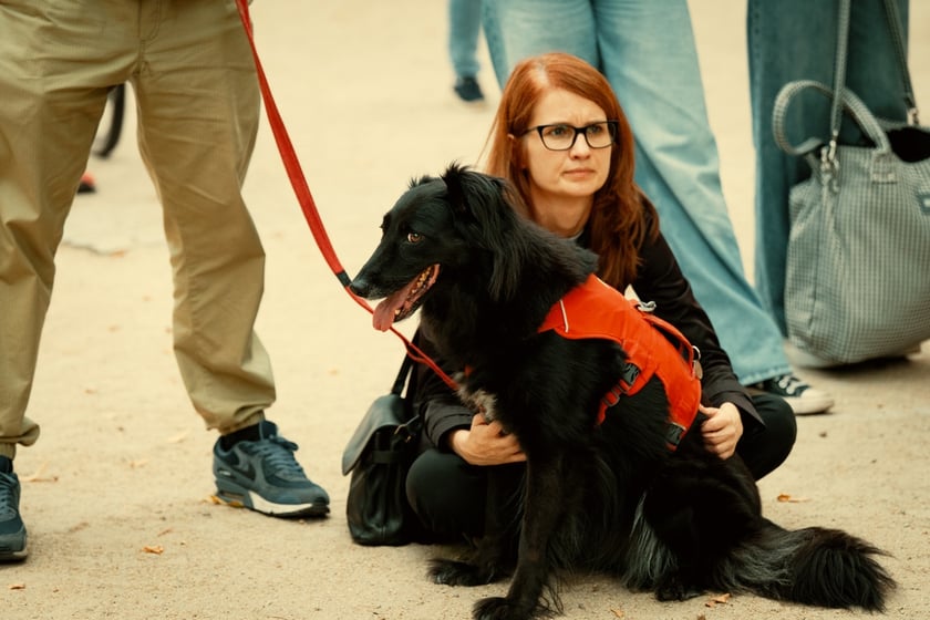 W parku Południowym z koncertem w cyklu „Muzyczne Parki Wrocławia” wystąpiła Marzena Słowik z zespołem „Słowik e os pássaros do amor”.