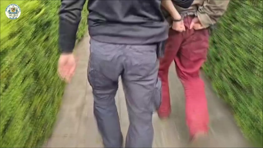 Pobicie kierowcy MPK – obcokrajowiec został deportowany