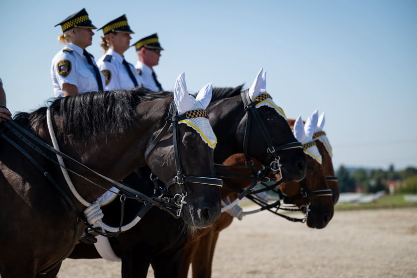Uroczystości upamiętniające 86. rocznicę wybuchu II wojny światowej