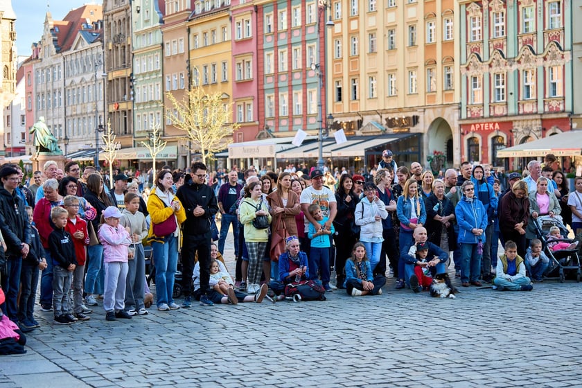 Podróżny festiwal artystów ulicznych Busker Tour na wrocławskim Rynku - 5 i 6 września 2025 r.