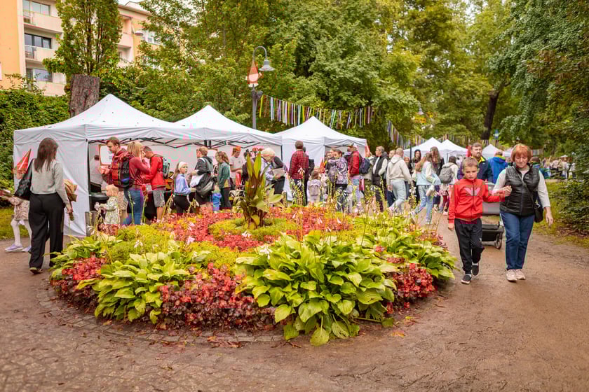 Wrocławski Festiwal Krasnoludk&oacute;w, park Staromiejski, 13.09.2025