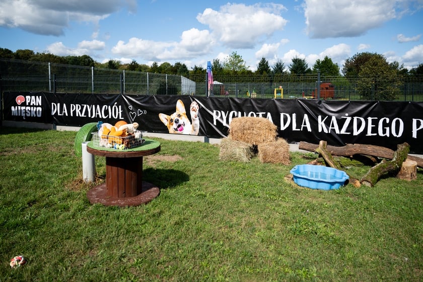 TOZ&nbsp;Schronisko dla Bezdomnych Zwierząt &ndash; otwarcie trzech nowych wybieg&oacute;w