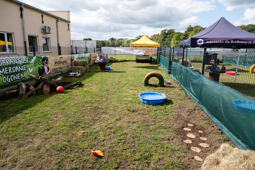 TOZ&nbsp;Schronisko dla Bezdomnych Zwierząt &ndash; otwarcie trzech nowych wybieg&oacute;w