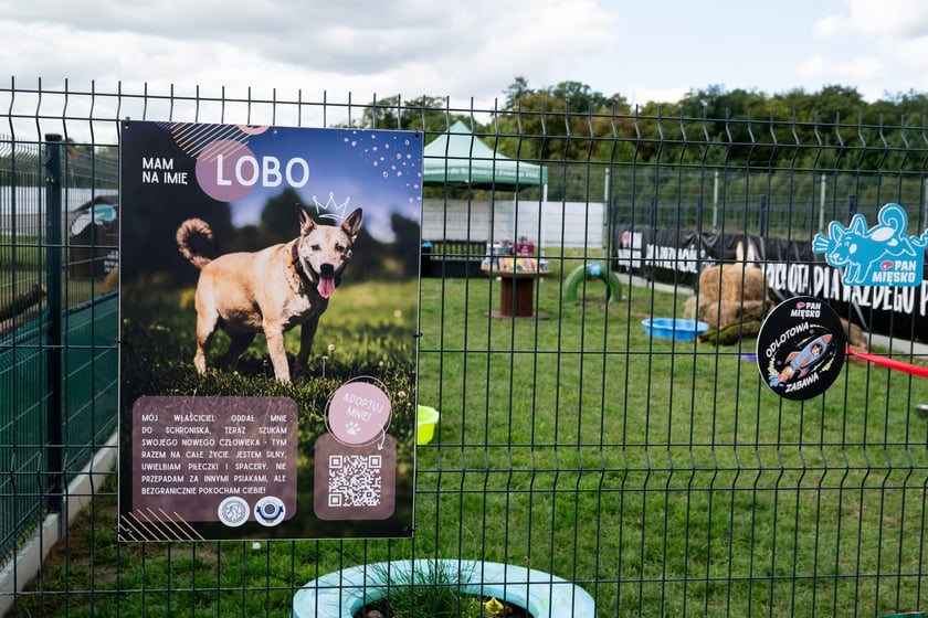 TOZ&nbsp;Schronisko dla Bezdomnych Zwierząt &ndash; otwarcie trzech nowych wybieg&oacute;w