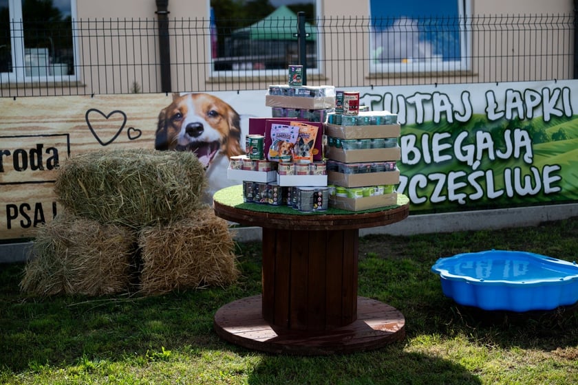 TOZ&nbsp;Schronisko dla Bezdomnych Zwierząt &ndash; otwarcie trzech nowych wybieg&oacute;w