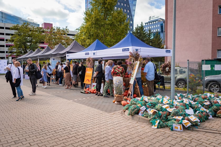 Piknik dla uczczenia jubileuszu 20-lecia Wrocławskiego Centrum Integracji - 19 września