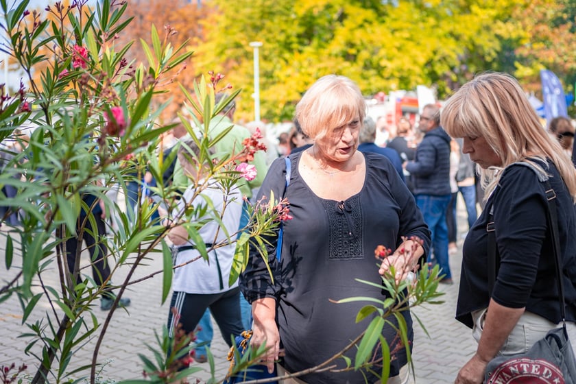 Piknik dla uczczenia jubileuszu 20-lecia Wrocławskiego Centrum Integracji - 19 września
