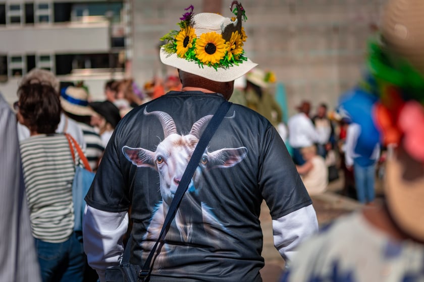 Wrocławskie Dni Seniora 2025