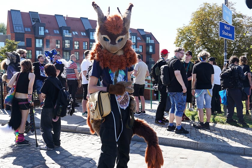 Futrzaki opanowały Wrocław - marsz Furwalk 2025