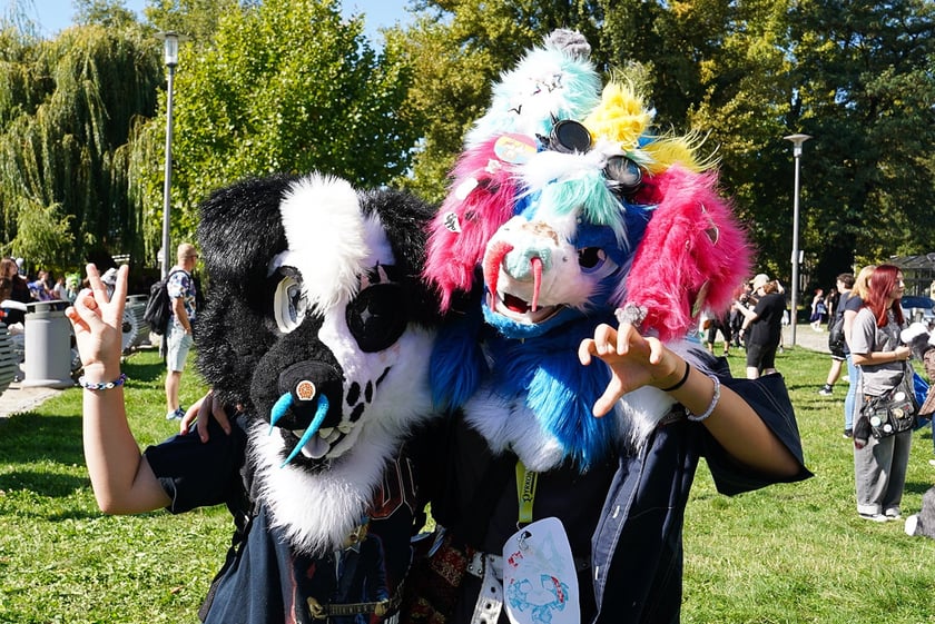 Futrzaki opanowały Wrocław - marsz Furwalk 2025