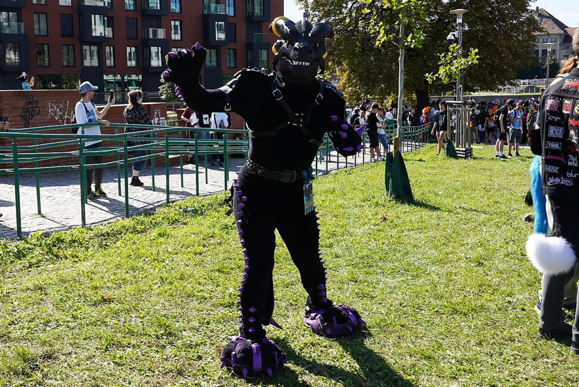 Futrzaki opanowały Wrocław - marsz Furwalk 2025