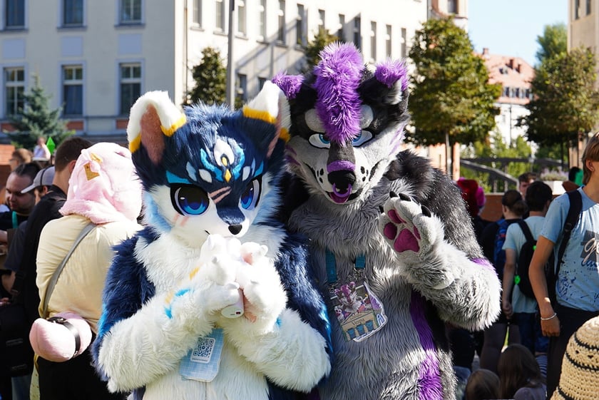 Futrzaki opanowały Wrocław - marsz Furwalk 2025