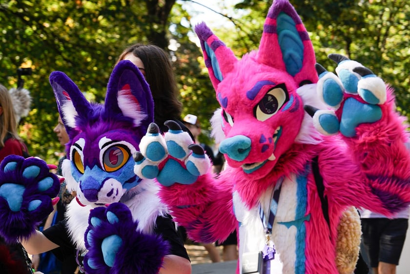 Futrzaki opanowały Wrocław - marsz Furwalk 2025