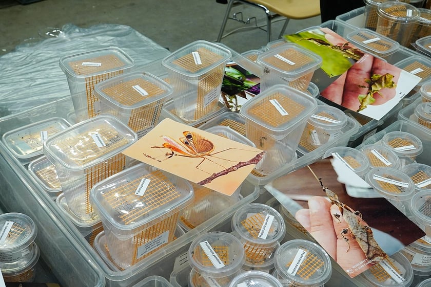 Targi ZooEgzotyka w Hali Orbita w niedzielę 21 września 2025