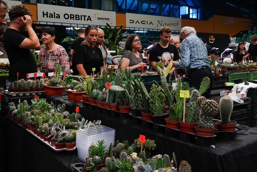 Targi ZooEgzotyka w Hali Orbita w niedzielę 21 września 2025