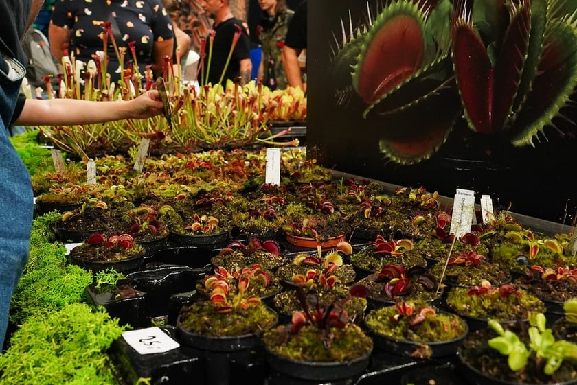 Targi ZooEgzotyka w Hali Orbita w niedzielę 21 września 2025