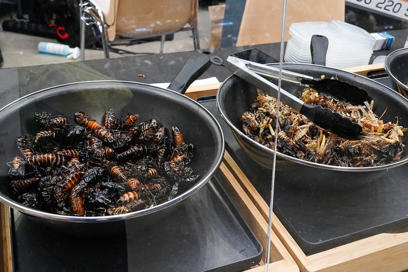 Targi ZooEgzotyka w Hali Orbita w niedzielę 21 września 2025