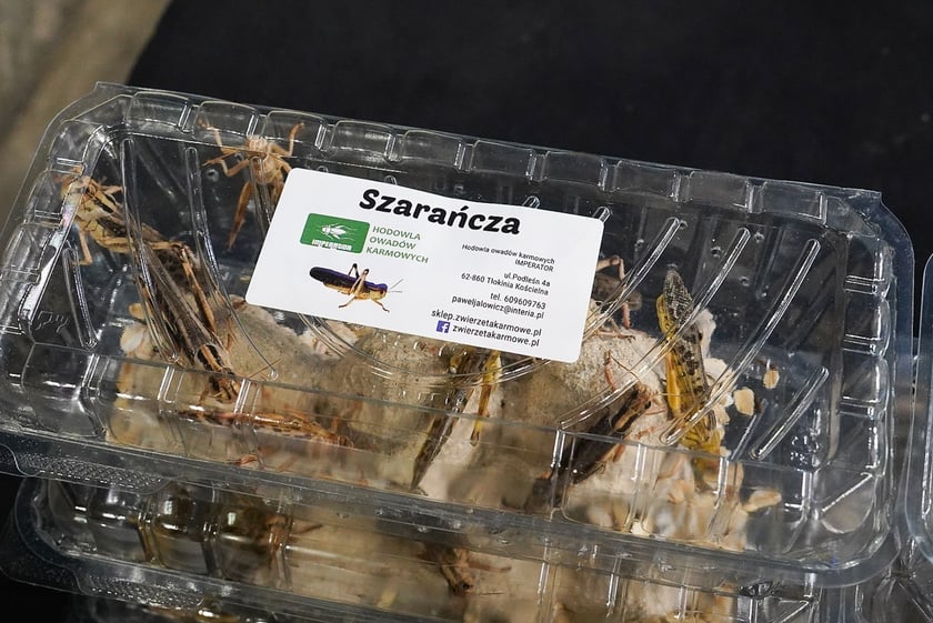 Targi ZooEgzotyka w Hali Orbita w niedzielę 21 września 2025