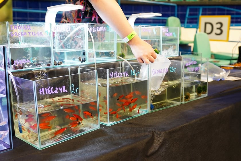 Targi ZooEgzotyka w Hali Orbita w niedzielę 21 września 2025