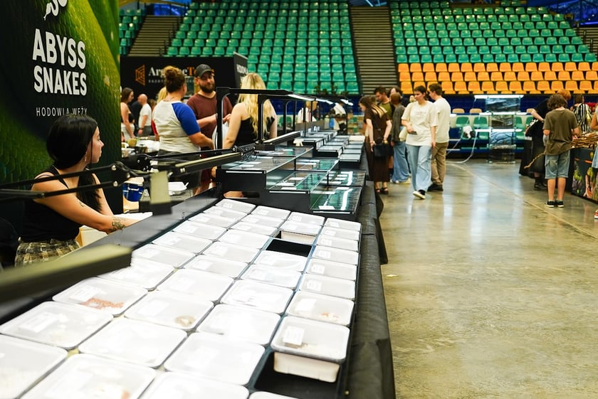 Targi ZooEgzotyka w Hali Orbita w niedzielę 21 września 2025