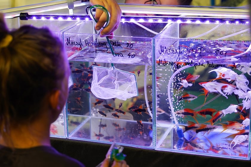 Targi ZooEgzotyka w Hali Orbita w niedzielę 21 września 2025