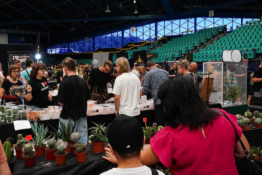 Targi ZooEgzotyka w Hali Orbita w niedzielę 21 września 2025