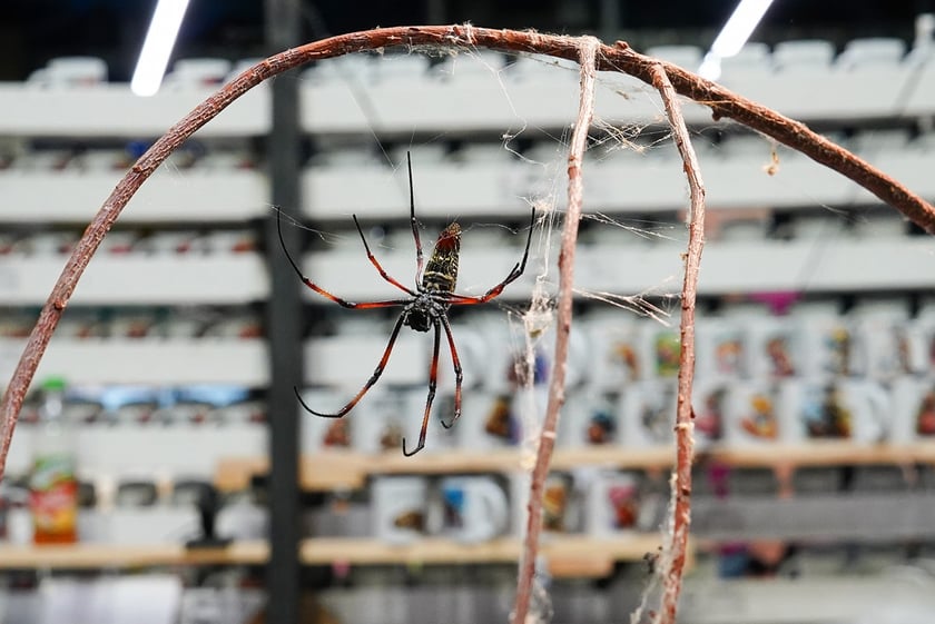 Targi ZooEgzotyka w Hali Orbita w niedzielę 21 września 2025