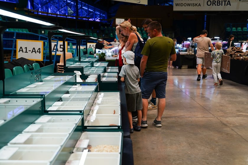 Targi ZooEgzotyka w Hali Orbita w niedzielę 21 września 2025