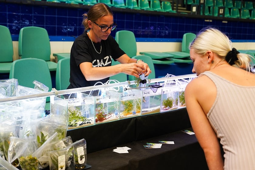 Targi ZooEgzotyka w Hali Orbita w niedzielę 21 września 2025