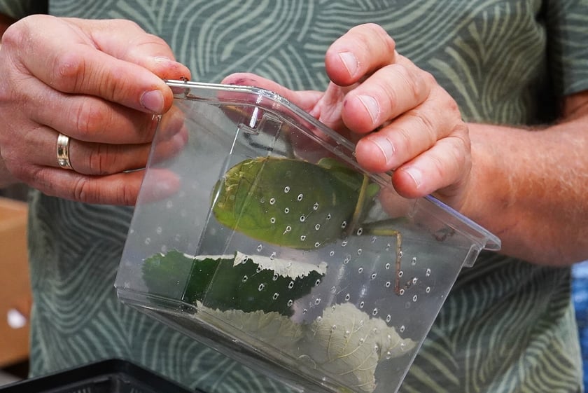 Targi ZooEgzotyka w Hali Orbita w niedzielę 21 września 2025