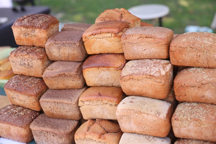 Aglomeracyjny Piknik Komunikacyjny we Wrocławiu