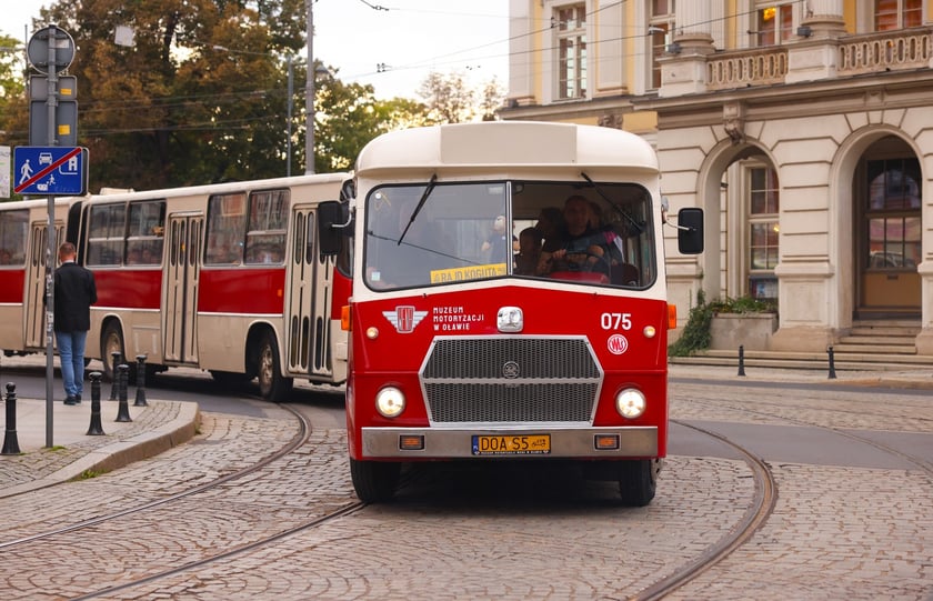 Zabytkowe tramwaje i autobusy podczas wielkie parady we Wrocławiu, 27.09.2025 r.