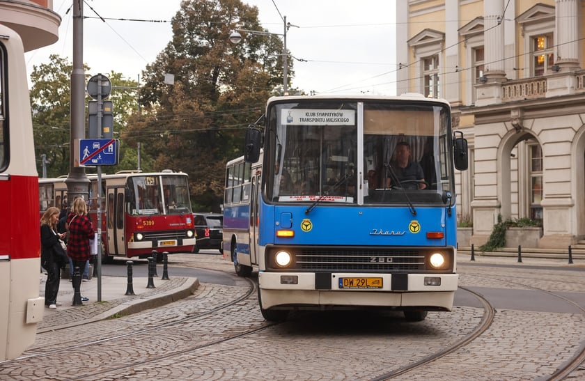 Zabytkowe tramwaje i autobusy podczas wielkie parady we Wrocławiu, 27.09.2025 r.