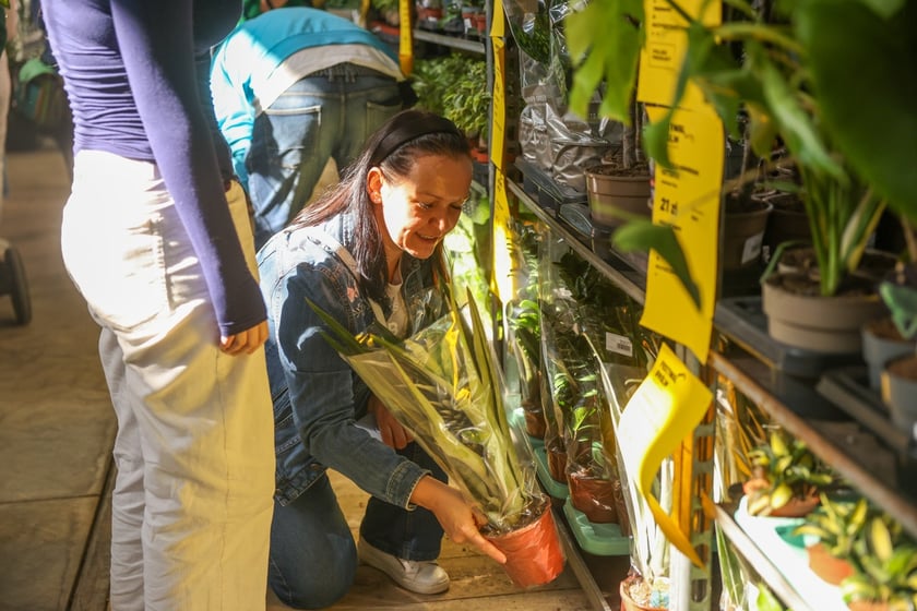Festiwal Roślin w Czasoprzestrzeni