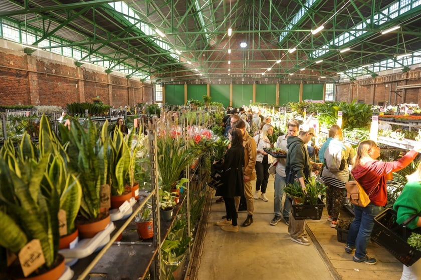 Festiwal Roślin w Czasoprzestrzeni