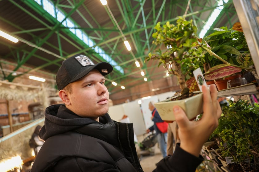 Festiwal Roślin w Czasoprzestrzeni