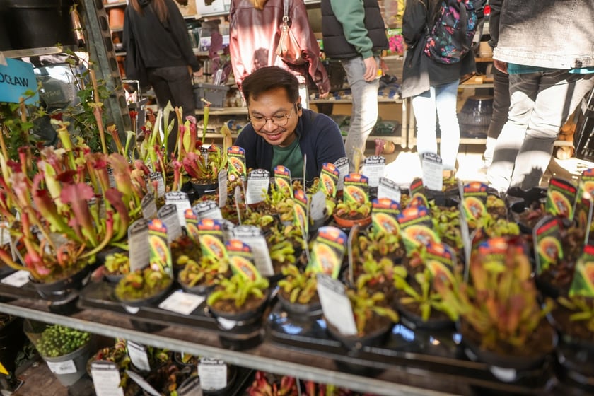 Festiwal Roślin w Czasoprzestrzeni