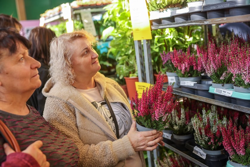 Festiwal Roślin w Czasoprzestrzeni