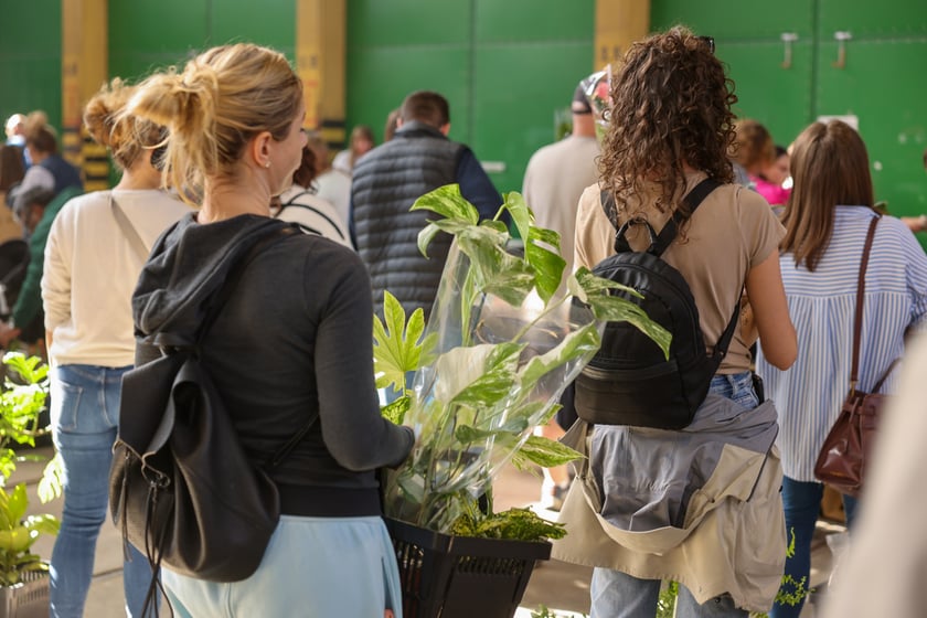 Festiwal Roślin w Czasoprzestrzeni