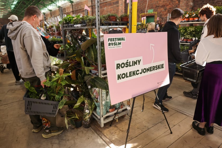 Festiwal Roślin w Czasoprzestrzeni