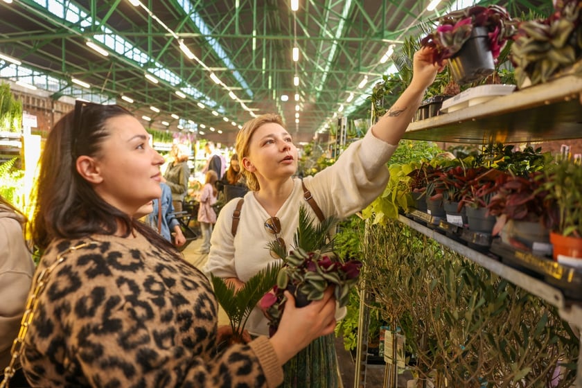 Festiwal Roślin w Czasoprzestrzeni