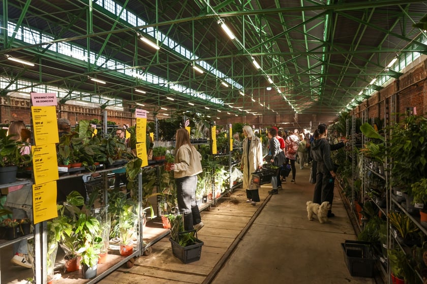 Festiwal Roślin w Czasoprzestrzeni