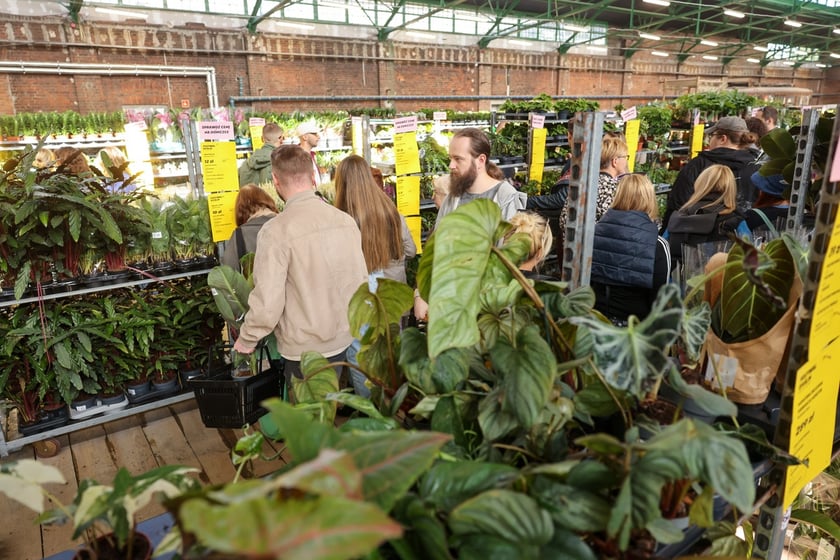 Festiwal Roślin w Czasoprzestrzeni