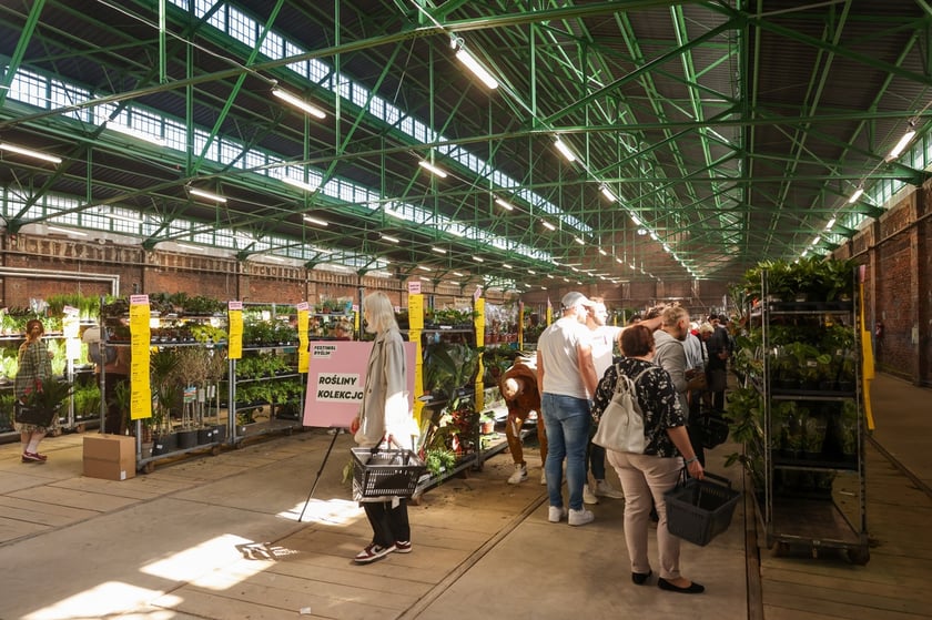 Festiwal Roślin w Czasoprzestrzeni